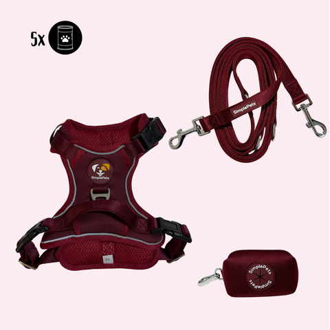 Alltagsheld-Geschirr 2.0 Set Limited Edition