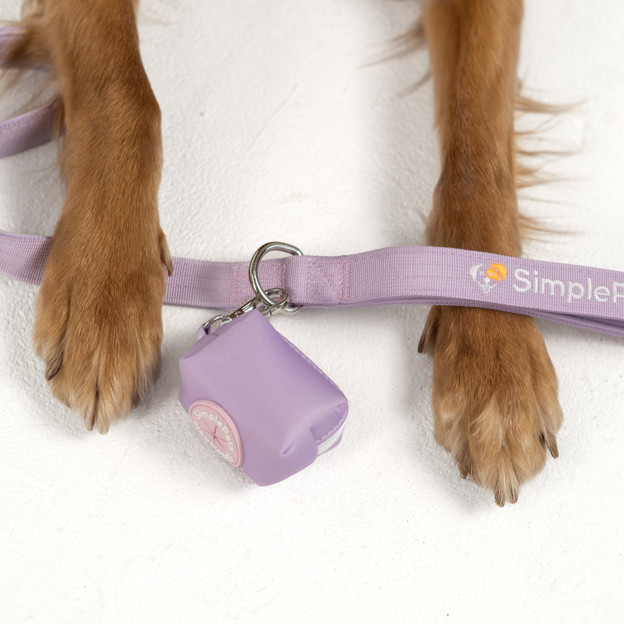 SimplePets: Hundezubehör, das spendet